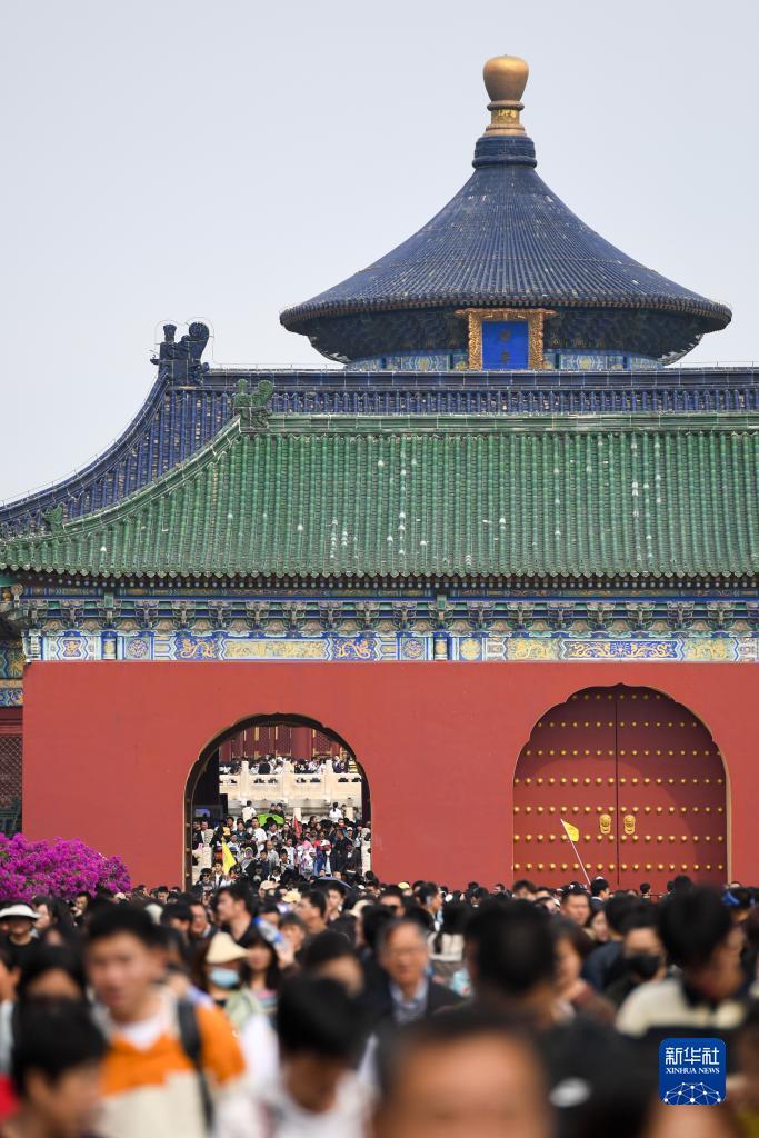 天九集团如何盈利